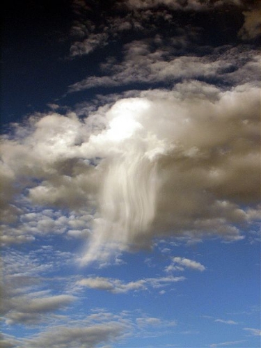 Fallstreak (Source: www.gmw.cn)