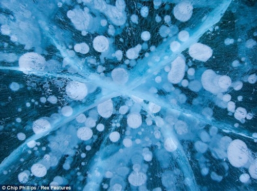 These stunning images show hundreds of frozen bubbles trapped below Canada's Abraham Lake. Located at the foot of the Rocky Mountains, the rare phenomenon occurs each winter in the man-made lake.  (Source: chinanews.com)