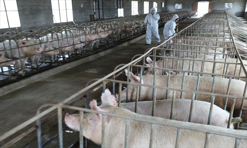 Farmers prepare to vaccinate pigs Thursday in Zhuji, East China's Zhejiang Province. The local government requires mandatory vaccines for livestock, and offers farmers a subsidy of 80 yuan ($13) for each dead pig they dispose of in an environmentally friendly way. Nearly 10,000 pig corpses have been found in the Huangpu River over the past week, and Jiaxing in Zhejiang is believed to be the source of the dead animals. Photo: CFP