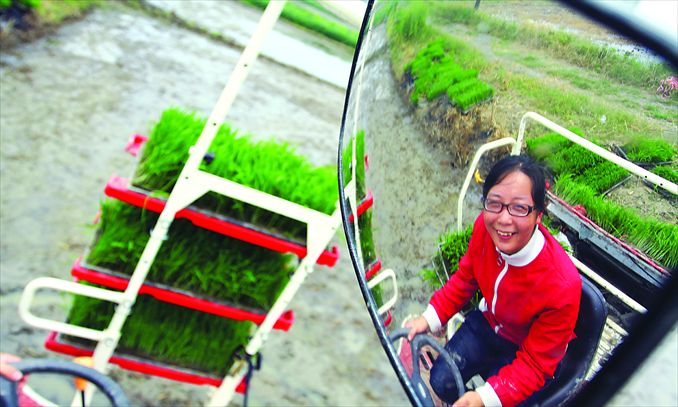 Pan Lihong, a college graduate village official in Damao village, Jishan county, Zhejiang Province, helps villagers plant rice on June 21.Photo: CFP