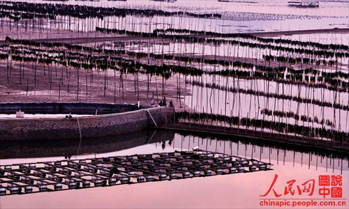 Xiapu mudflat scenery is as beautiful as a water-and-ink painting. (Chinapic.people.com.cn)
