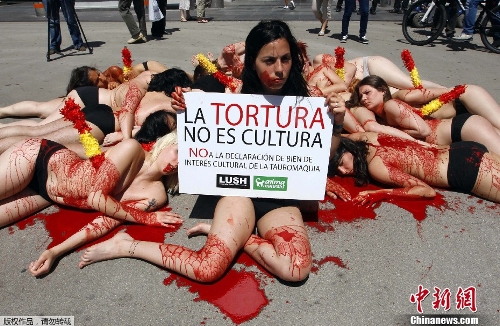 Animal rights activists pretending to be bulls stuck through with banderillas lie on the ground covered with mock blood during a protest against bullfighting in Barcelona May 23, 2013. The activists collected signatures to present to the government in protest against a draft law currently in parliament that would protect bullfighting as part of Spain's heritage and national interest. (Source: Chinanews.com)