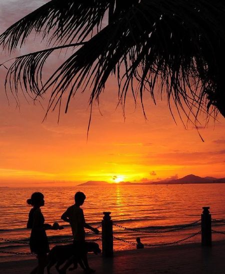 People walk by the sea in the afterglow at Sanya Bay in Sanya, South China's Hainan Province, August 20, 2012. Photo: Xinhua