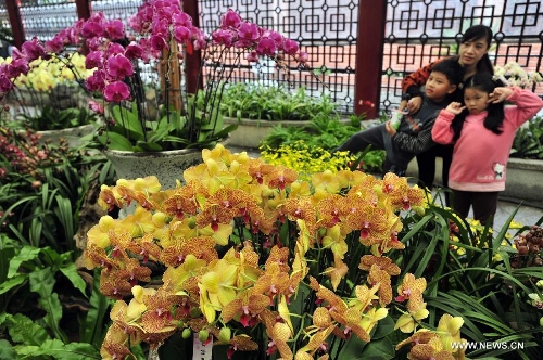 Visitors view flowers at a phalaenopsis exhibition in Taipei, southeast China's Taiwan, Feb. 3, 2013. The eight-day exhibition was opened on Feb. 3 to greet the upcoming Spring Festival, which falls on Feb. 10 this year. (Xinhua/Wu Ching-teng) 