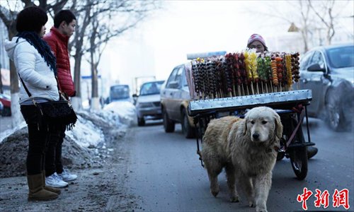 Pedestrians watch as Big Yellow pulls his owner and their Bingtanghulu cart on February 6. Photo: Chinanews.com