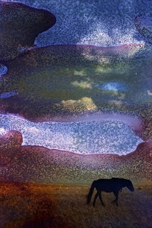 Many works by Areus are of grasslands. Photo: douban.com