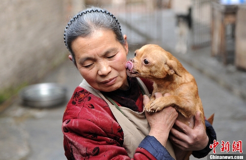 A senior citizen living in Chongqing&nbsp;has adopted over 100&nbsp;stray dogs and 30 more cats in the past 15 years, wiping out all her savings. (Source: Chinanews.com)
