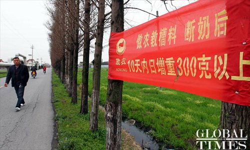 A banner on the street advertises pig feed. Photo: Yang Hui / GT