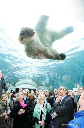People watch a polar bear as they visit the newly-inaugurated Arctic Circle at the Copenhagen Zoo in Copenhagen, Denmark, Feb. 5, 2013. (Xinhua/Hasse) 