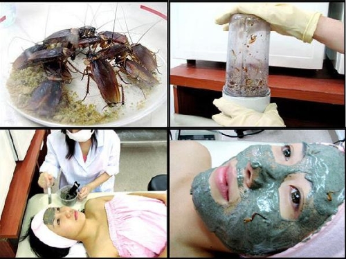 South Korean cockroach facial beauty mask (Photo Source: forum.news.cn)