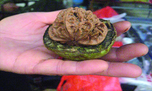 A walnut with half its green skin peeled off is shown in the vendor's hand.

