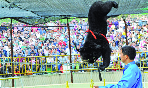 A black bear walks a tightrope at a wild animal zoo in Qingdao, Shandong Province, on October 3. Photo: CFP