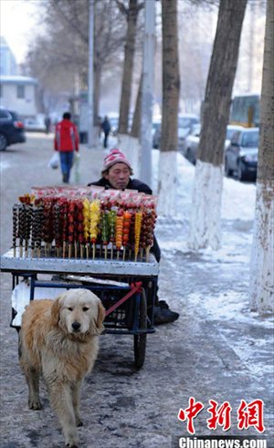 Big Yellow pulls the cart on the street. Photo: Chinanews.com