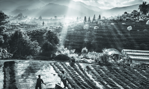 Sebasti?o Salgado's shot of the landscape of a village in Yunnan Province, taken in January. Photo:Sebasti?o Salgado/Amazonas
Images for illy