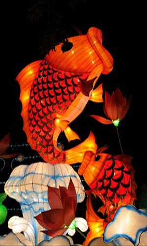 Large lanterns are on display at the Lu Xun Park for the upcoming Mid-Autumn Festival. Photos: Cai Xianmin/GT and courtesy of festival organizer