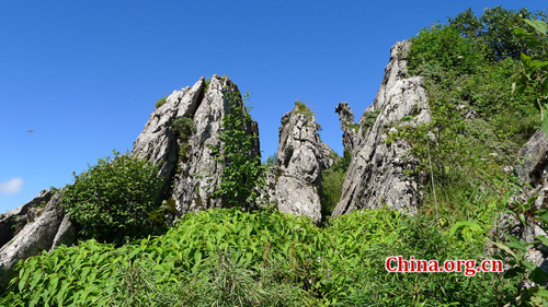 Shennongjia locates at the confluence of Yangtze river and Han river, the border between Sichuan and Hubei province. It is boasted as the ridge of central China and the only oasis lies at 30 degree north latitude. Photo: China.org.cn