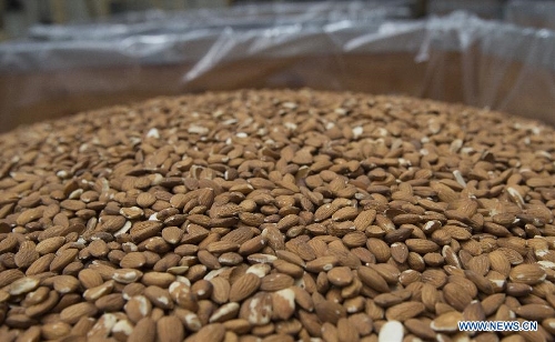Shelled almonds are seen at an almond processing plant in Modesto, California, the United States, on March 19, 2013. In the U.S., almonds production is mainly concentrated in California with an output of 916,000 tons in 2011/12, about 11 percent of which were exported to China. (Xinhua/Yang Lei) 