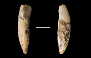 Sunjiadong Paleolithic Site