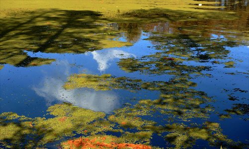 Photo taken on December 8, 2011 shows the landscape scenery of Erhai Lake in Dali Bai Autonomous Prefecture, southwest China's Yunnan Province. Erhai Lake, covering 253 square kilometers and being the second largest fresh water lake in Yunnan Province, is named as the 