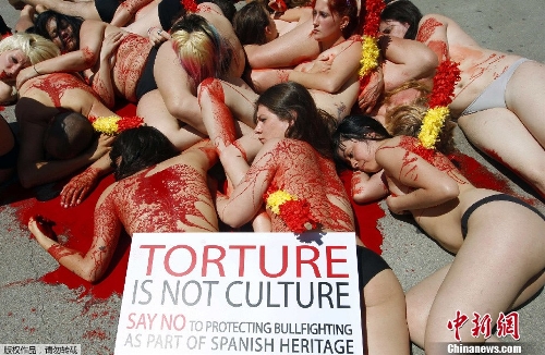Animal rights activists pretending to be bulls stuck through with banderillas lie on the ground covered with mock blood during a protest against bullfighting in Barcelona May 23, 2013. The activists collected signatures to present to the government in protest against a draft law currently in parliament that would protect bullfighting as part of Spain's heritage and national interest.&nbsp; (Source: Chinanews.com)