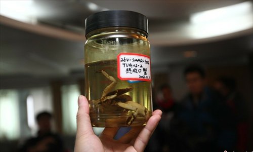 Newly discovered crab in the ocean. Photo:Chinanews.com