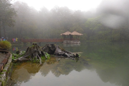 Located in the northeast of Jiayi in Taiwan Province, Ali Mountain is the general name of the 18 hills including Zhu Hill and Tower Hill. The highest peak is Tower Hill with a height of 2,663 meters. Ali Mountain is renowned for its five rare sights including the sunrise, the Ali Mountain forest railway, the famous Alishan sacred tree, the grand sea of clouds, and fragrant cherry blossom. (Photo:China.org.cn)
