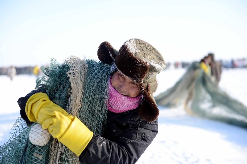 A fisherman pulls nets off the water on the surface of iced Ulunggur Lake in Fuhai County, northwest China's Xinjiang Uygur Autonomous Region, Jan. 12, 2013. The eighth Ulunggur Lake winter fishing festival kicked off in Fuhai on Saturday. (Xinhua/Sadat) 