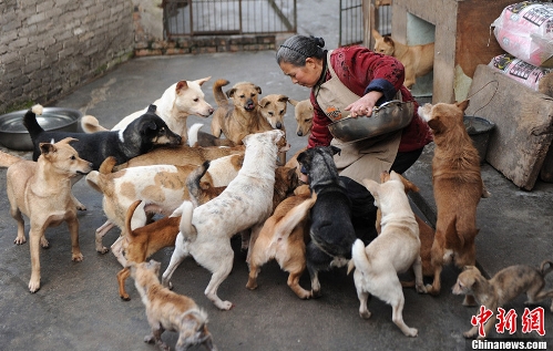 (Source: Chinanews.com)