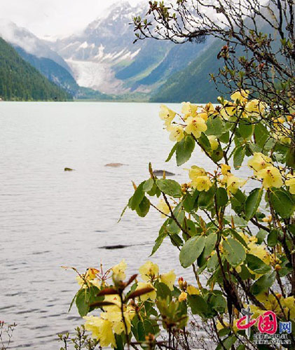 Linzhi, or Nyingchi, often referred to as the throne of the sun in Tibetan by locals, is indeed where the sun rises every day compared to other places in Tibet. Located in the lower reaches of Yarlung Zangbo River of the southwestern Tibet Autonomous Region, Linzhi is blessed with a semi-humid climate and fascinating scenery. The Himalayan and Tangula mountains wend their way from west to east to join the Hengduan Mountains. Because of the large number of river valleys and alpine gorges, Nyingchi is sometimes referred to as the 'Switzerland of Tibet.' Basum Lake is one of the best known tourist attractions in Linzhi. Tucked inside the alpine gorge, the sapphire-like lake reflects the surrounding snow mountains, as well as inhabited diverse wildlife. Photo: China.org.cn