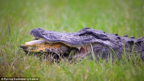 (Source: people.com.cn)