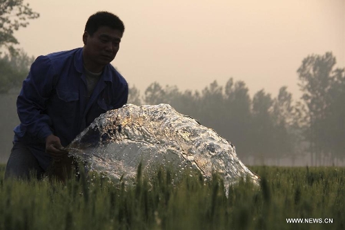 A farmer waters the wheat field in Chengguan Township of Neihuang County in Anyang City, central China's Henan Province, May 3, 2013. Farmers here are busy with taking care of the crop to ensure the summer wheat harvest. (Xinhua/Liu Xiaokun) 