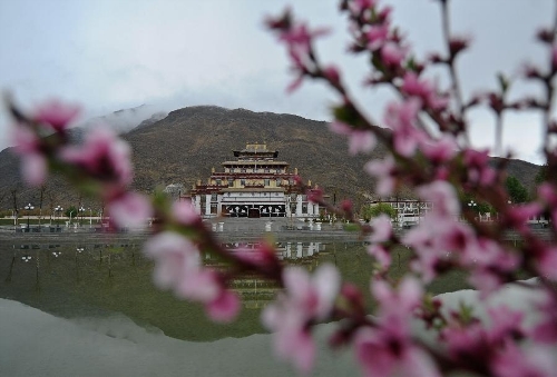 Photo taken on May 8, 2013 shows the Tibet Buddhist Theological Institute in the township of Nyetang, Lhasa, capital of southwest China's Tibet Autonomous Region. Featuring a distinctive Tibetan architecture style, the institute was opened in October 2011 and has 150 students including tulkus and monks from various Tibetan Buddhist sects. (Xinhua/Purbu Zhaxi)