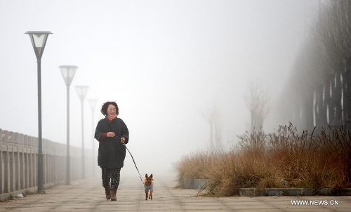 &nbsp;A citizen walks her dog amid dense fog in Nanchang City, capital of east China's Jiangxi Province, Jan. 12, 2013. A fog hit many parts of Jiangxi on Saturday. (Xinhua/Zhou Ke)&nbsp; 
