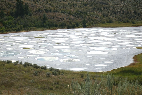 Spotted Lake, Canada (Source: www.huanqiu.com)