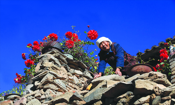 A woman tends her flowers in Dapin village, Yuxian county, Shanxi Province. The village used to have 360 residents but now has only 17 old people left. The children work in faraway big cities and rarely return. Photo: CFP