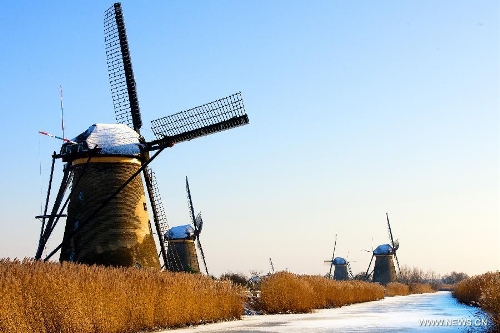  Windmills are seen after snowfall in Kinderdijk, west of the Netherlands, Jan. 16, 2013. The small town of Kinderdijk is known for its 19 well-preserved windmills which were built around 1740. Every year about 500,000 tourists visit Kinderdijk, a UNESCO World Heritage site since 1997. (Xinhua/Robin Utrecht) 