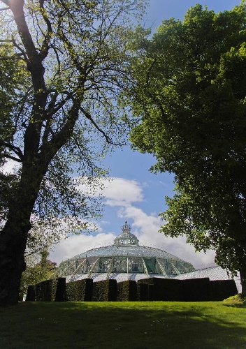 The photo taken on May 10, 2013 shows the Royal Greenhouse of Laeken in the royal garden in Brussels, capital of Belgium. The Belgian royal family opens its greenhouses in the royal garden with wide variety of flowers to the public for three weeks every year. (Xinhua/Zhou Lei) 