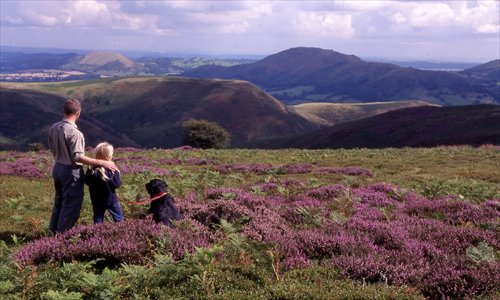 Visitors gaze out at Shropshire Hills. Photo: Courtesy of Shropshire Council
