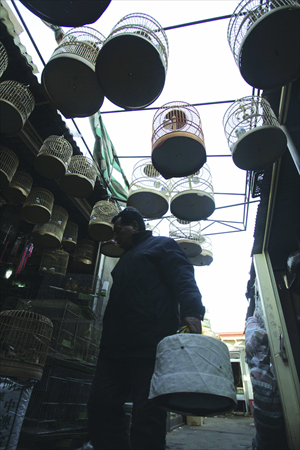 Bird cages above the old Guanyuan market
