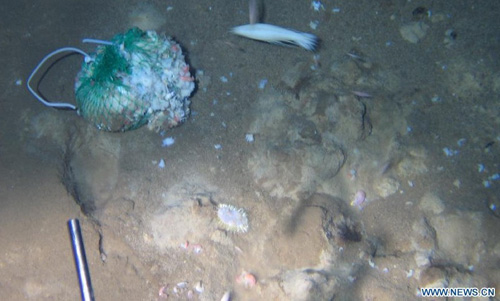 Photo taken onboard China's manned submersible Jiaolong on June 27, 2012 shows the environment underwater at the Mariana Trench in the Pacific Ocean. Submersible Jiaolong set a new national dive record on Wednesday after reaching 7,062 meters below sea level during its fifth dive into the Mariana Trench. The Jiaolong got three water samples, two sediment samples and one organism sample, placed a marker, and made several experiments on the sea floor 7,062 meters deep from the sea surface. Photo: Xinhua/China Ocean Mineral Resources Research and development Association