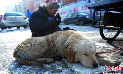 Big Yellow rests as his owner lights a cigarette. Photo: Chinanews.com