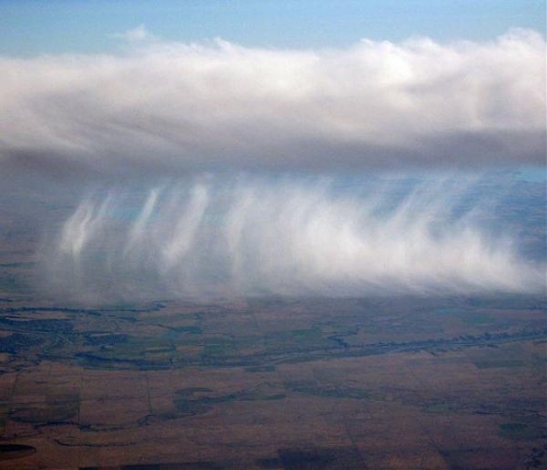 Fallstreak (Source: www.gmw.cn)