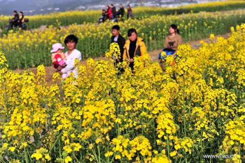 Visitors view rape flowers in Muyu Island of Maoping Town in Zigui County, central China's Hubei Province, March 3, 2013. (Xinhua/Wang Huifu)
