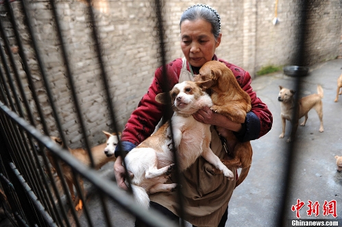 (Source: Chinanews.com)