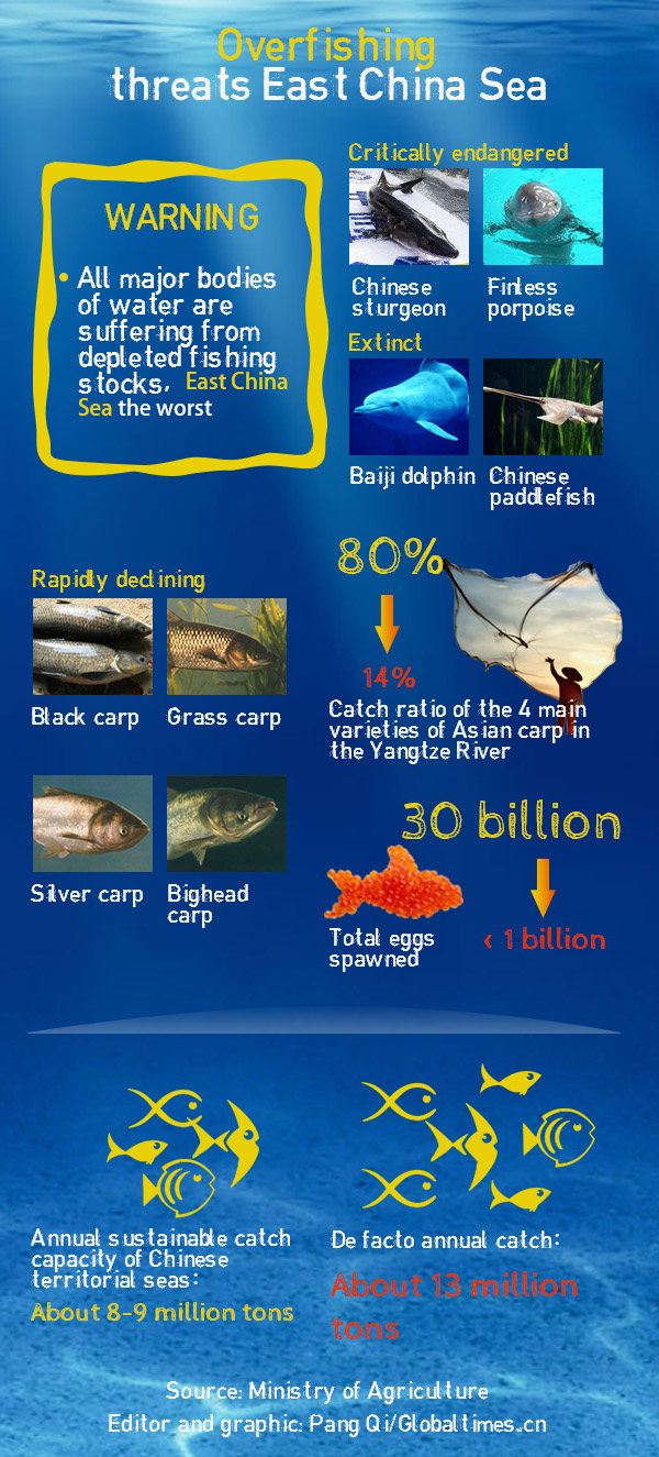 Overfishing threats East China Sea.Graphics:Globaltimes.cn