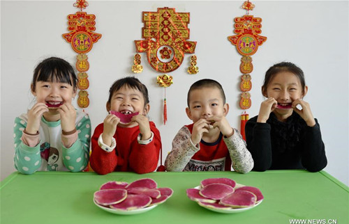 Children eat radishes to celebrate Lichun, literally the beginning of spring in Chinese, at a kindergarten in Xingtai City, north China's Hebei Province, Feb. 3, 2017. Lichun, the first of the 24 solar terms, fell on Feb. 3 this year. Chinese usually eat radishes or spring pancakes to celebrate the day. (Xinhua/Mou Yu)