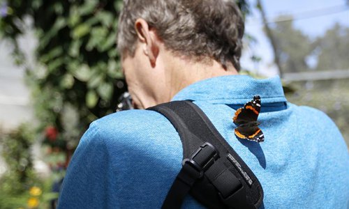 Butterfly exhibition held at Natural History Museum of Los Angeles ...