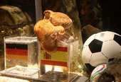 Famous octopus predicts Germany loses against Spain in World Cup