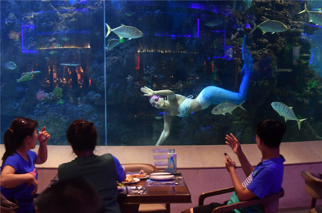 mermaid in xiamen underwater-themed restaurant - global times