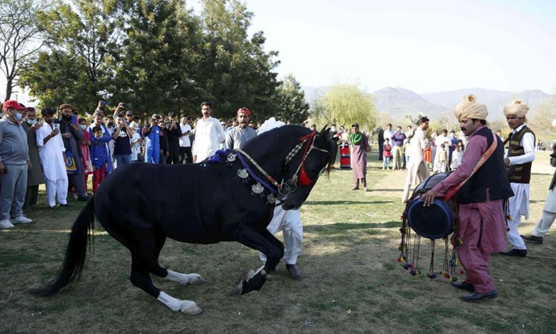 A horse dances on the beats of drums during the Islamabad Tourism Festival in Islamabad, capital of Pakistan, March 5, 2021. The three-day Islamabad Tourism Festival kicked off in Pakistan's capital on Friday.   Photo: Xinhua